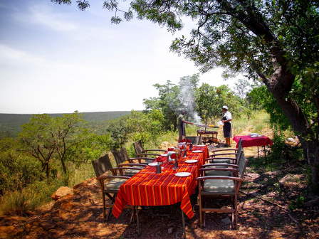 Luxury 7 night Safari